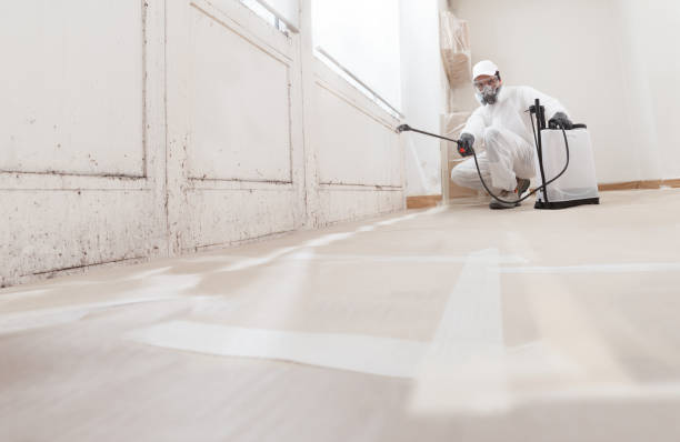 24/7 Emergency Mold Inspection experts in Empire, MI